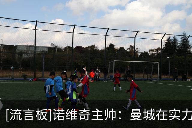 [流言板]诺维奇主帅：曼城在实力上比我们更强，但球队今天表现很好